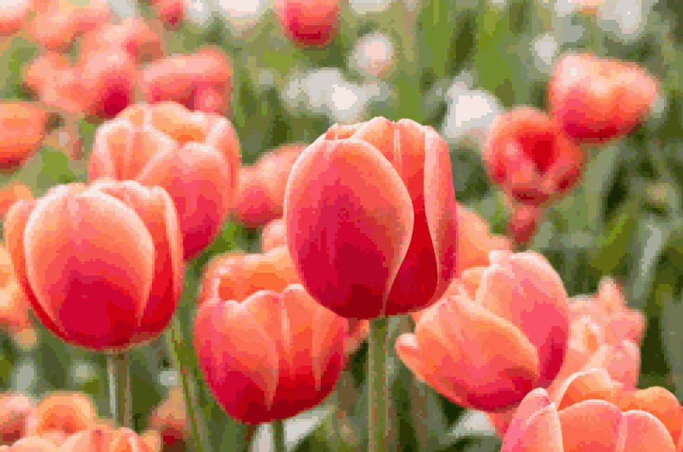 海关数据,PA真人视讯海关数据,荷兰海关数据 海关数据,PA真人视讯海关数据,荷兰海关数据