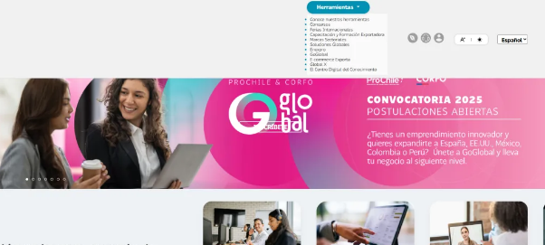 智利官方贸易网站 智利官方贸易网站